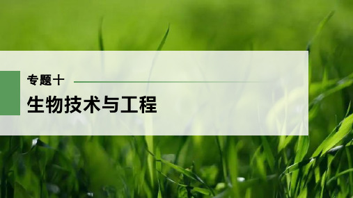 2024届高考生物二轮复习课件 第一篇 专题十 微专题(六) 与生物学相关的诺贝尔奖