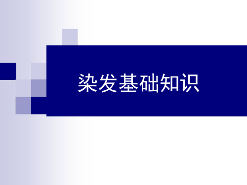 染发课程染膏的成份和原理ppt课件