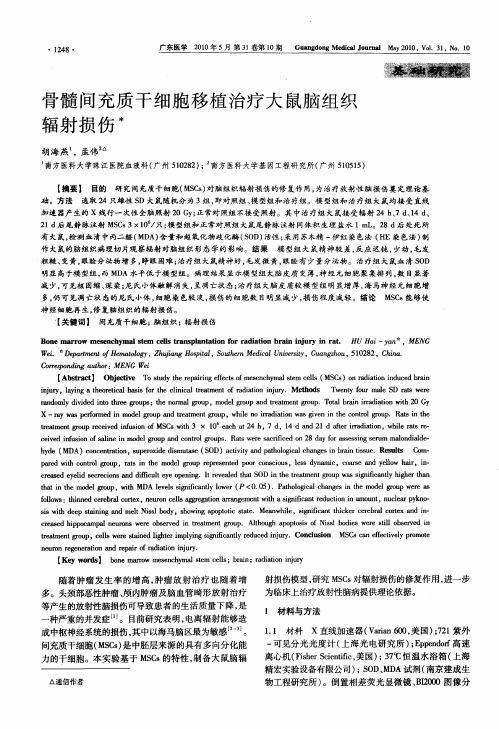 骨髓间充质干细胞移植治疗大鼠脑组织辐射损伤