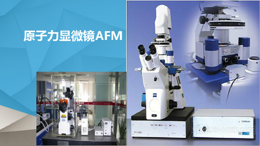 原子力显微镜AFM