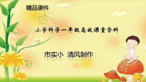 小学科学一年级高效课堂资料《观察空气》课件1