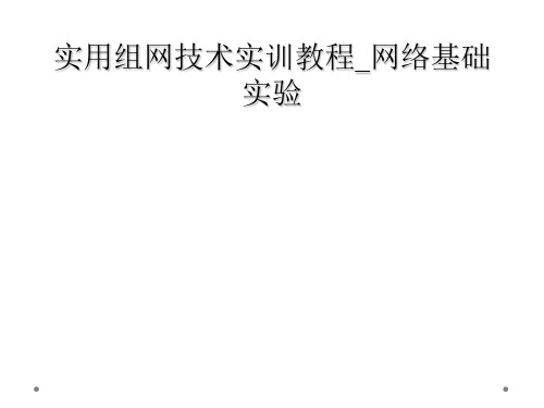 实用组网技术实训教程_网络基础实验