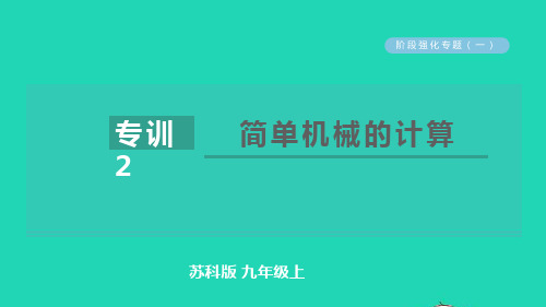 九年级物理全册第十一章简单机械和功阶段强化专题一专训2简单机械的计算习题课件新版苏科版ppt