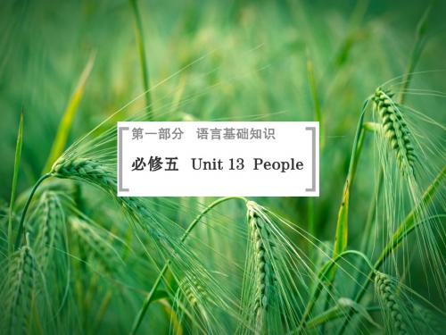 Unit13 People课件 北师大版必修5课件