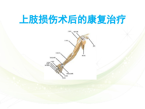 上肢损伤术后的康复治疗