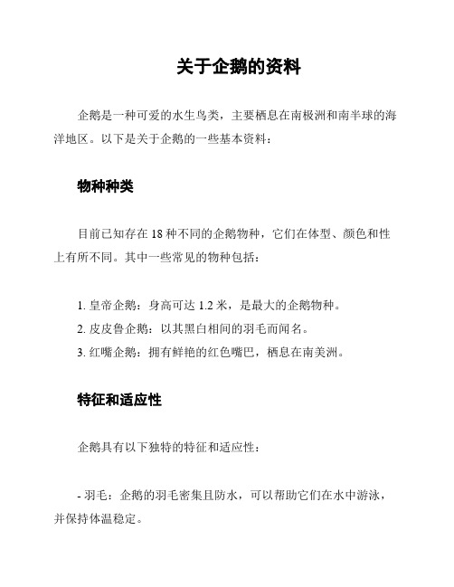 关于企鹅的资料