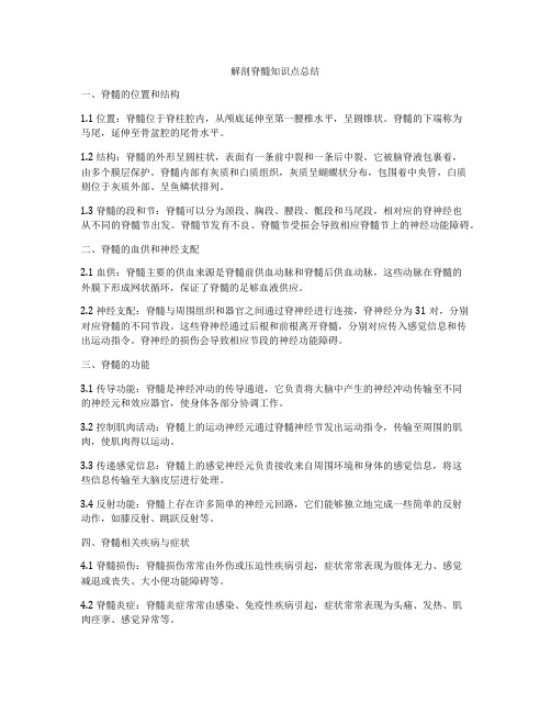 解剖脊髓知识点总结