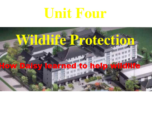 unit-4-wildlife-protection-reading(2019年新版)