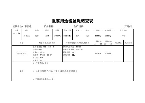 重要用途钢丝绳调查表