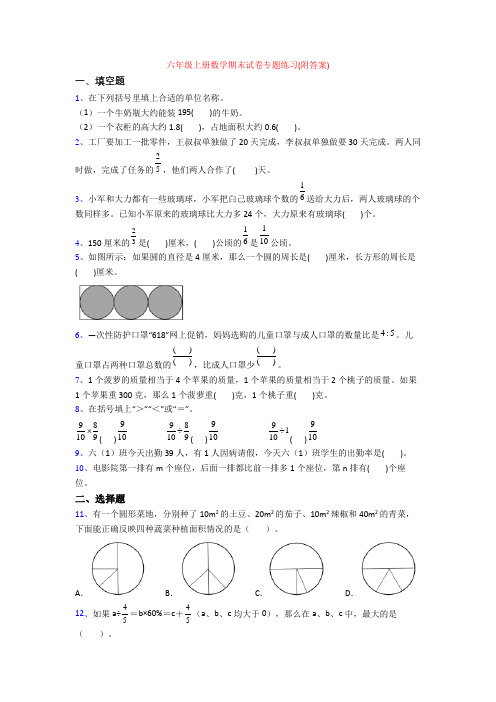 六年级上册数学期末试卷专题练习(附答案)