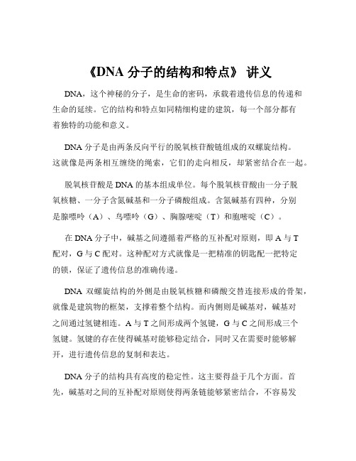 《DNA 分子的结构和特点》 讲义