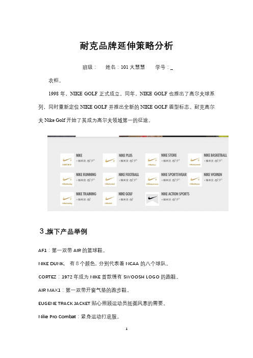 NIKE品牌延伸策略分析    下