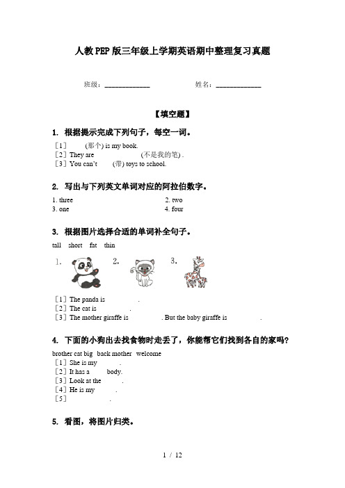 人教PEP版三年级上学期英语期中整理复习真题