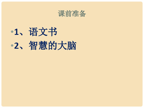 高一语文上册 1.3《生命本来没有名字》课件2 华东师大版