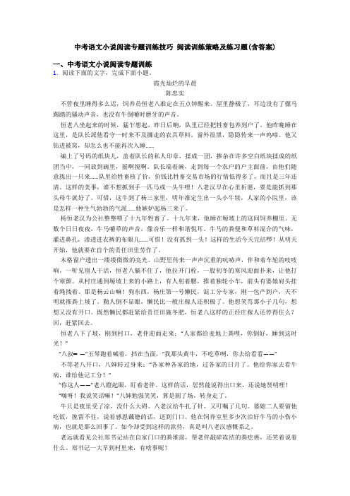 中考语文小说阅读专题训练技巧 阅读训练策略及练习题(含答案)