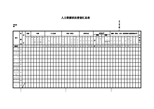 人力资源公司员工状况普查汇总表Excel模板