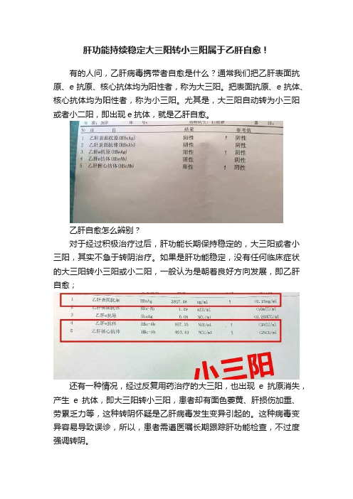 肝功能持续稳定大三阳转小三阳属于乙肝自愈！