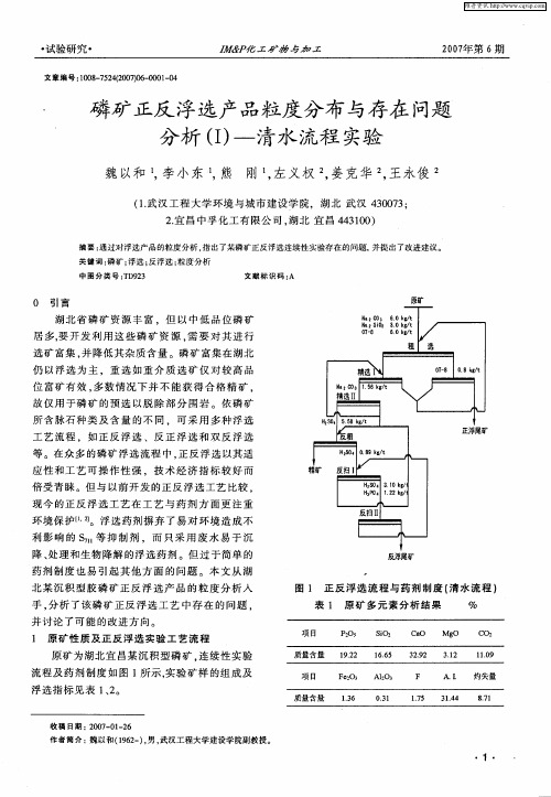 磷矿正反浮选产品粒度分布与存在问题分析(Ⅰ)-清水流程实验