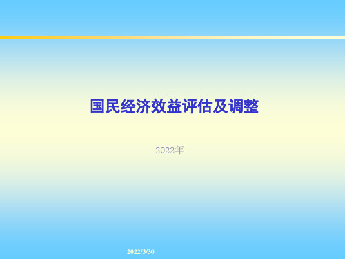 国民经济效益评估及调整