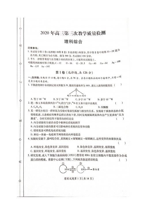 陕西省2020届高三第三次教学质量检测理科综合试题及其答案