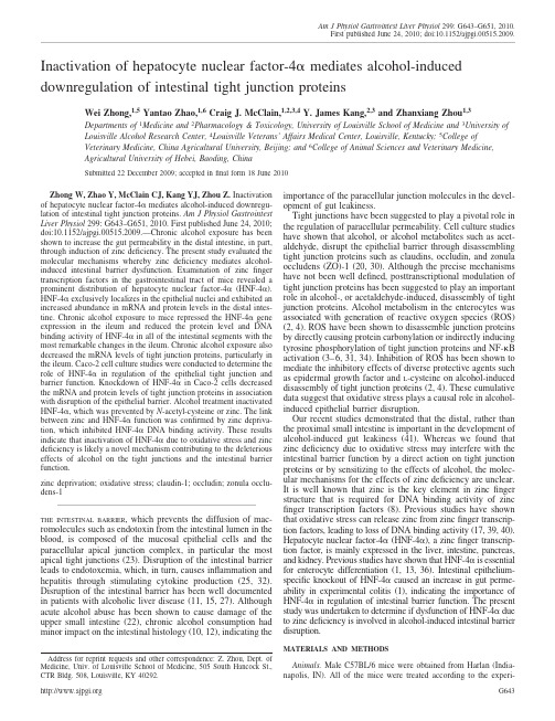 Inactivation of HNF4a mediates alcohol-induced downregulation of intestinal tight junction proteins