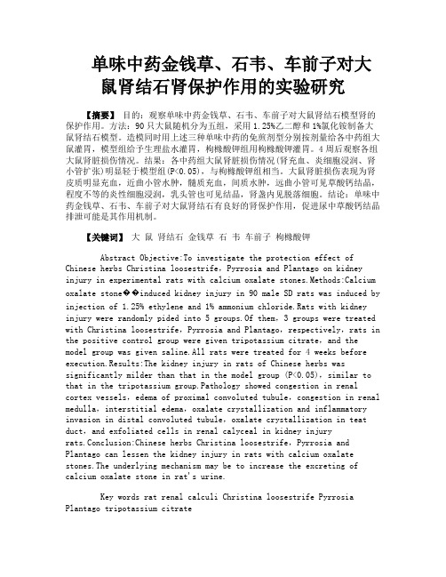 单味中药金钱草、石韦、车前子对大鼠肾结石肾保护作用的实验研究