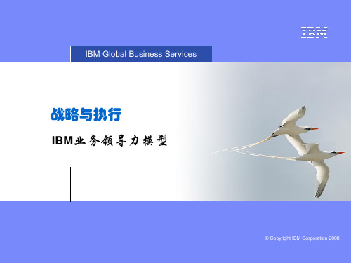 第三课：IBM业务领导力模型