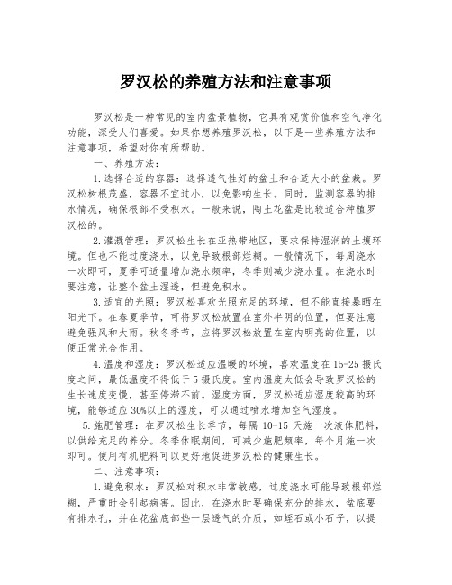 罗汉松的养殖方法和注意事项