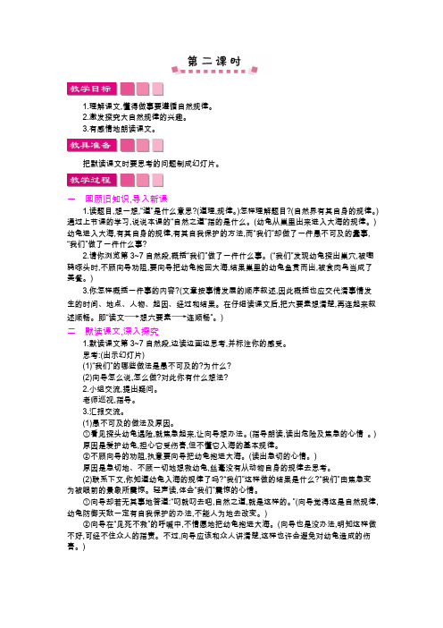 优质课自然之道教案 第二课时