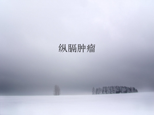 纵膈疾病