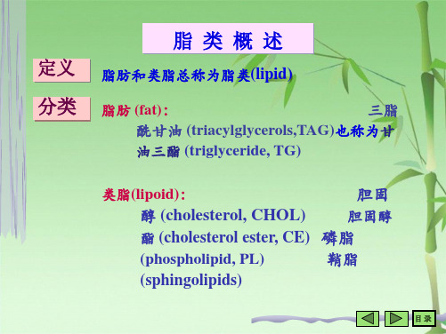 第六章 脂类代谢(共157张PPT)