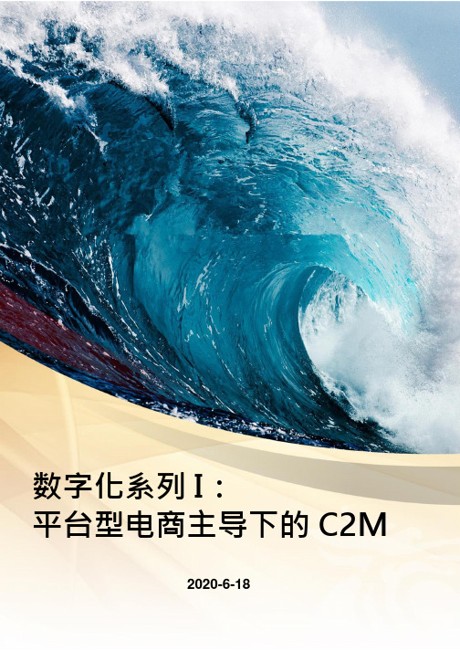 数字化系列I：平台型电商主导下的C2M(2020.06)