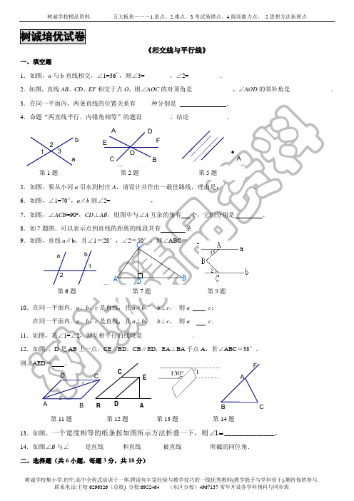 树诚培优试卷---相交线与平行线全章测试