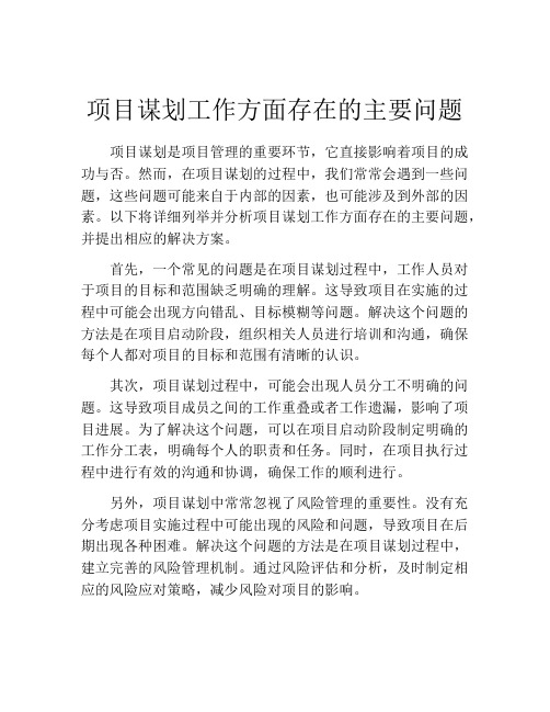 项目谋划工作方面存在的主要问题