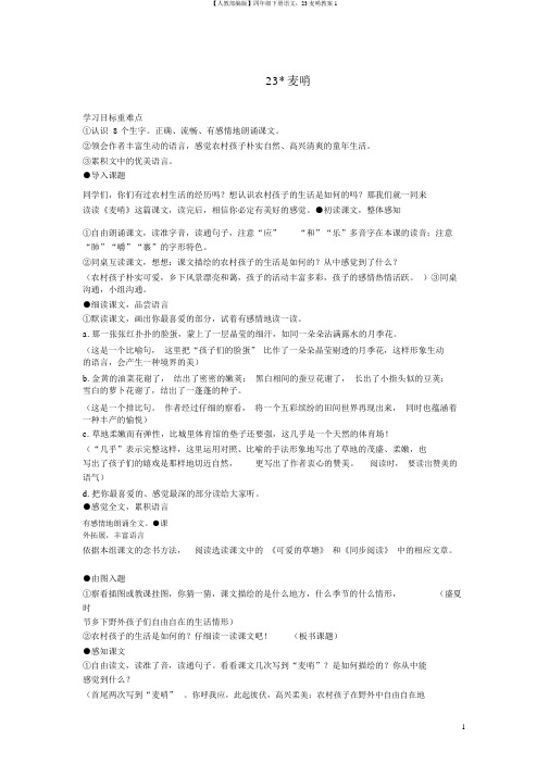 【人教部编版】四年级下册语文：23麦哨教案1