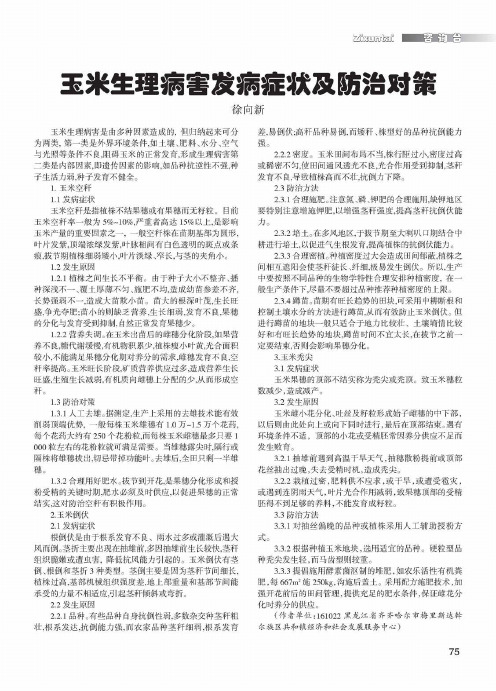 玉米生理病害发病症状及防治对策