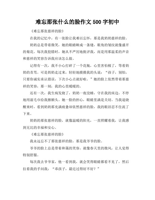 难忘那张什么的脸作文500字初中