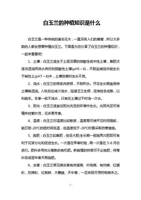 白玉兰的种植知识是什么