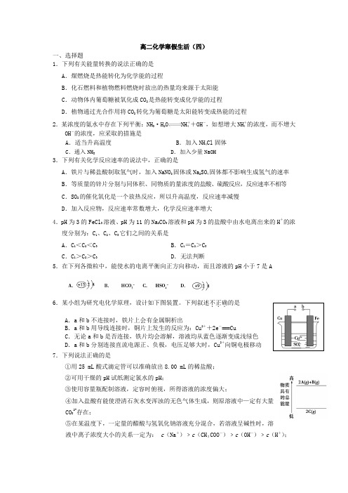 人教版高中化学选修一高二寒假作业化学(四)Word含答案