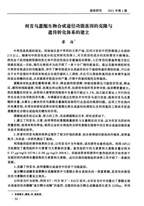 何首乌蒽醌生物合成途径功能基因的克隆与遗传转化体系的建立