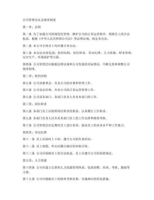 公司管理办法及规章制度格式