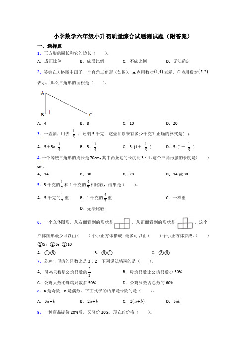 小学数学六年级小升初质量综合试题测试题(附答案)