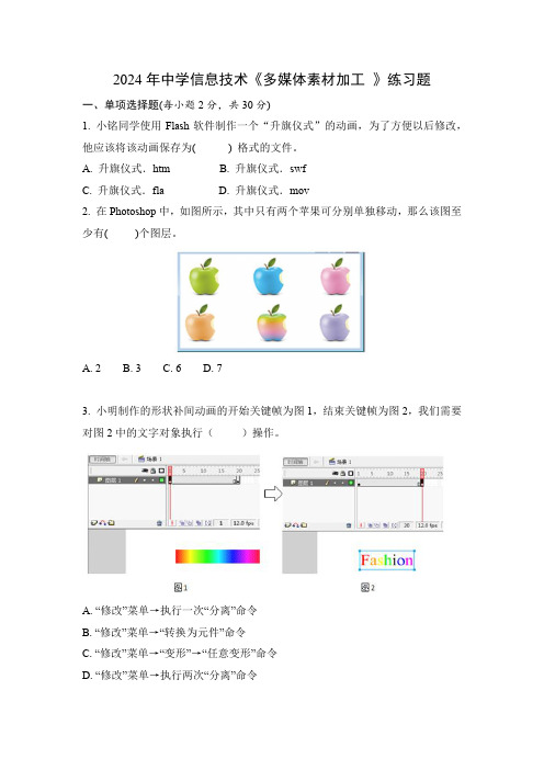 2024年中学信息技术《多媒体素材加工 》练习题