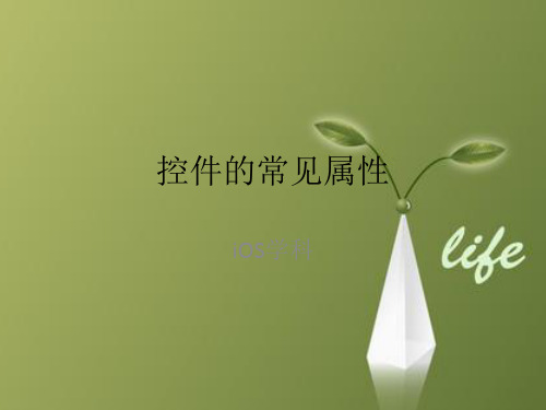 课件：控件的常见属性