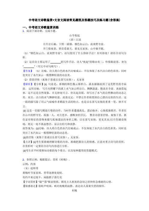 中考语文诗歌鉴赏+文言文阅读常见题型及答题技巧及练习题(含答案)