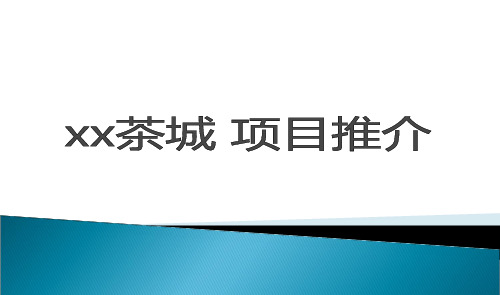 茶城项目推介方案PPT课件