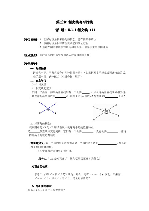 人教版七年级数学下册导学案设计：5.1.1相交线(无答案)