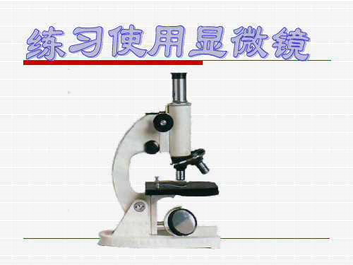 显微镜的结构及使用方法