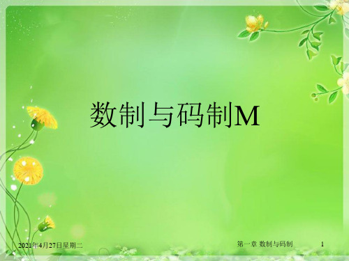 数制与码制M精品课件