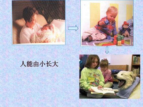 动物体的结构层次